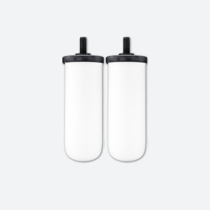 Twin replacement water filter