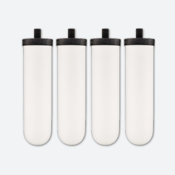 4 pack of replacement water filters