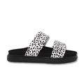 IVY Z  DOWN DALMATIAN