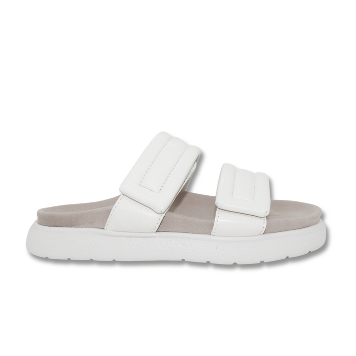 IVY Z  DOWN WHITE