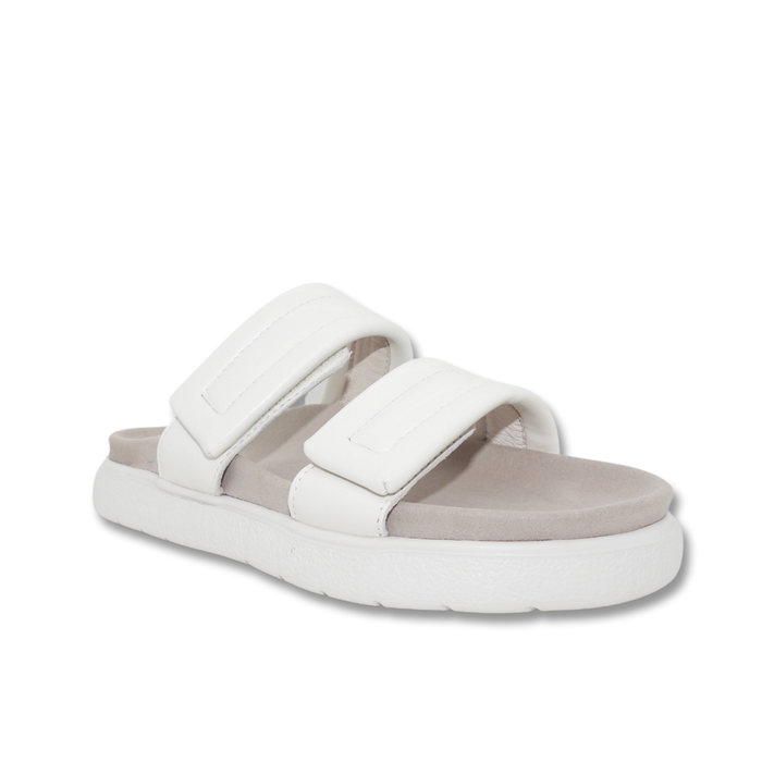IVY Z  DOWN WHITE