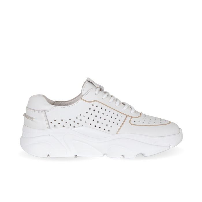 36 / WHITE