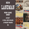 Landman Mini Gang Sheet