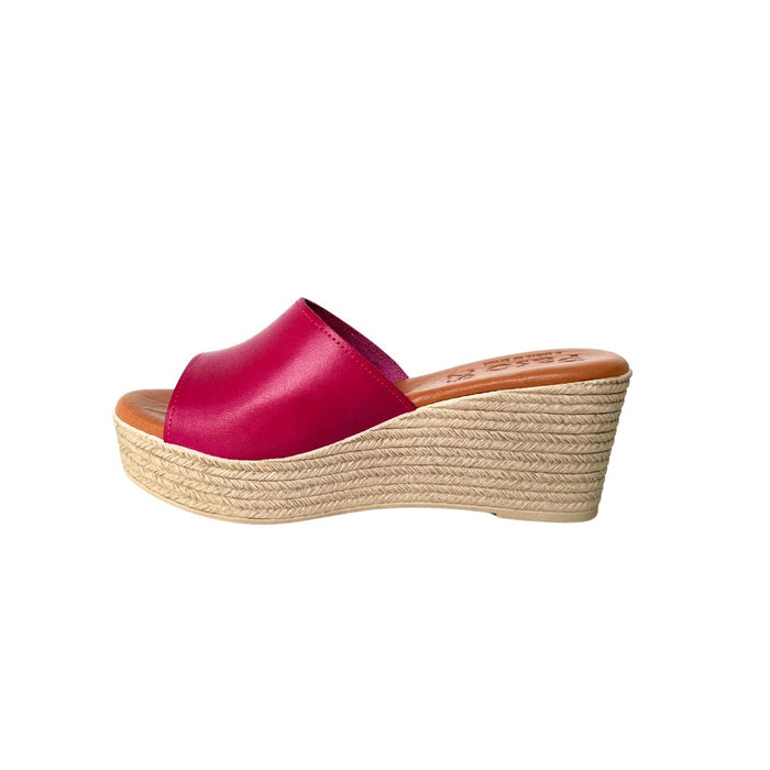 PASO 29 COCCO SLIDE