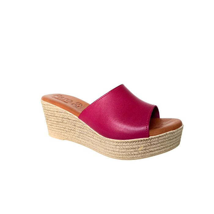PASO 29 COCCO SLIDE