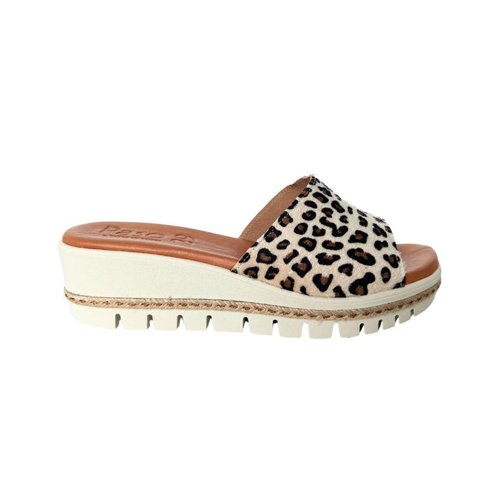PASO 29 COCCO SLIDE