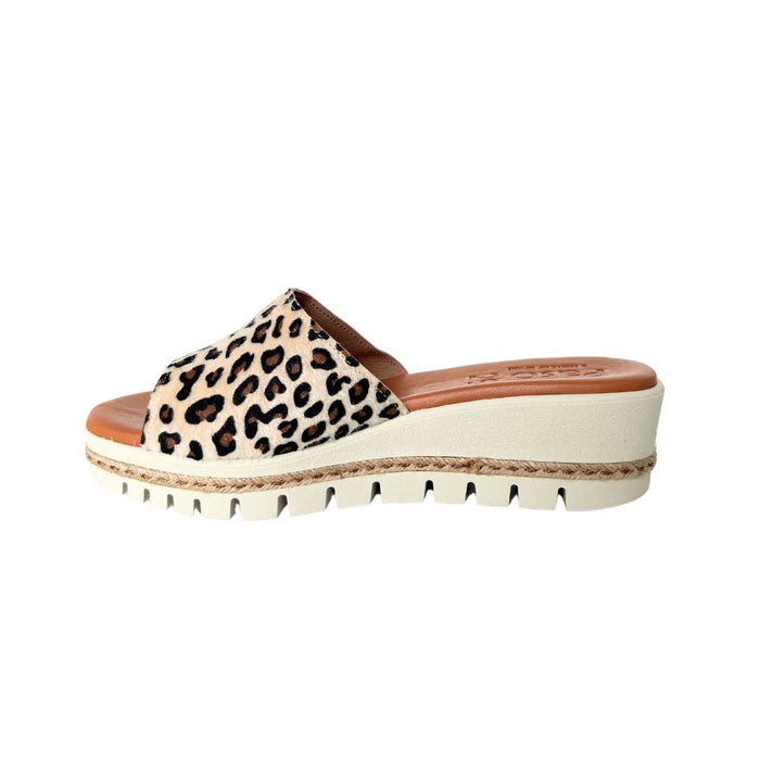 PASO 29 COCCO SLIDE