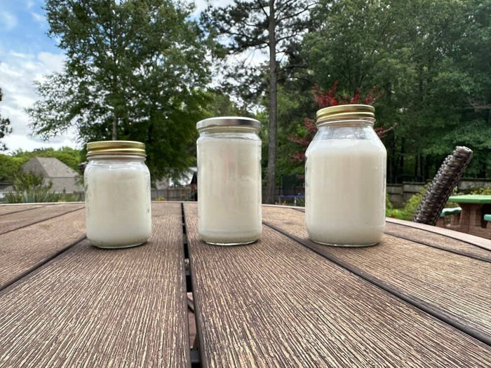 Unscented Beef Tallow - 16 Pounds | 100% Natural & Pure