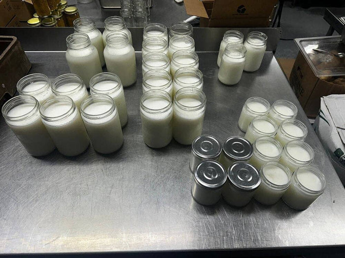 Unscented Beef Tallow - 8 Pounds | 100% Natural & Pure