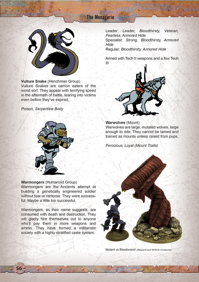 Wasteland Warriors - Downloadable .pdf